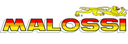 Malossi